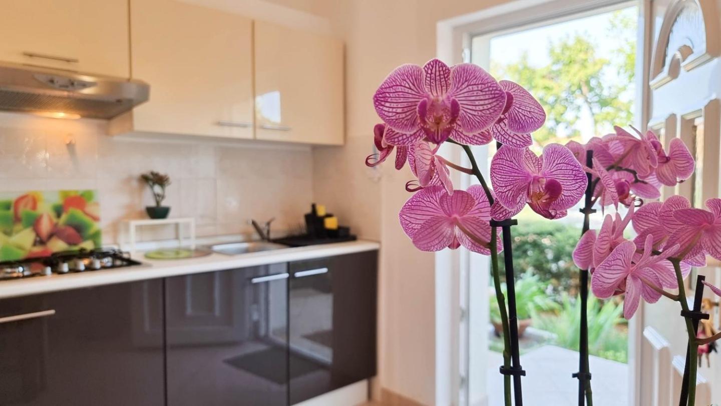 Apartmán Bosko Umag Exteriér fotografie